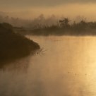 Ode to Monet